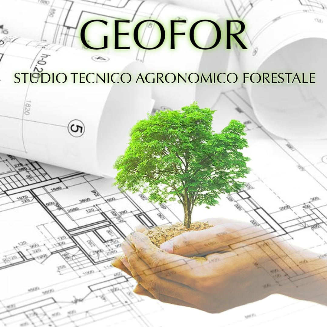 Studio Tecnico Agronomico Forestale - Dott. Pietro Satta - Rignano Flaminio